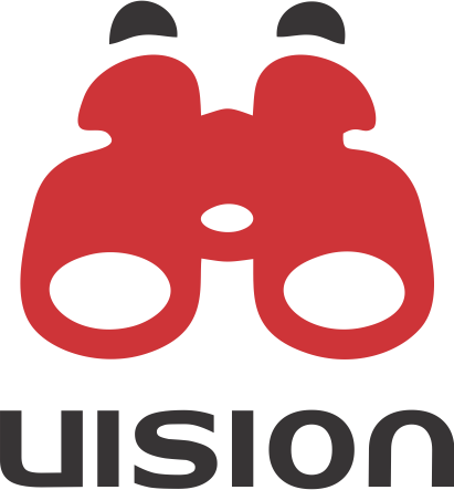 vision